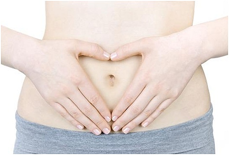 Female stomach