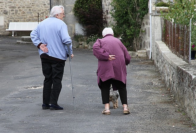 older-people-walking-with-dog