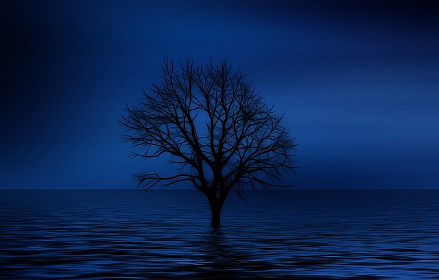 Tree in the sea