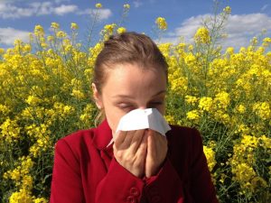 girl sneezing allergy pollen girl sneezing