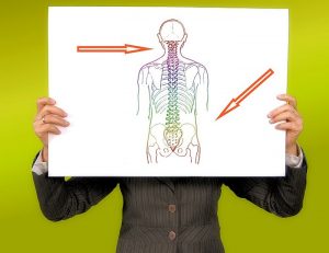 spine injury health