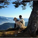 dog and man on the top of montin