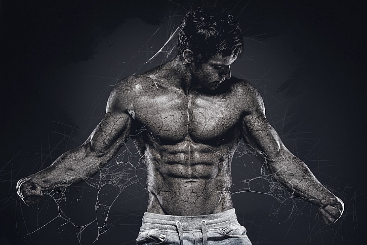 man body muscles