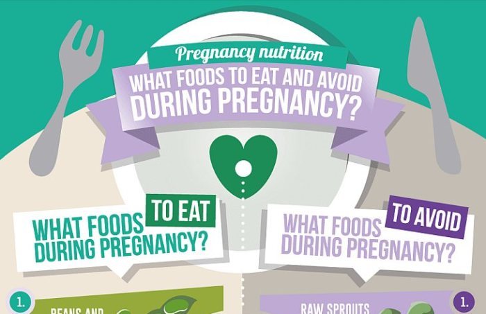 pregnancy nutrition featured